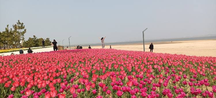 洪姐家公寓(蓝湖东路1号分店)图片