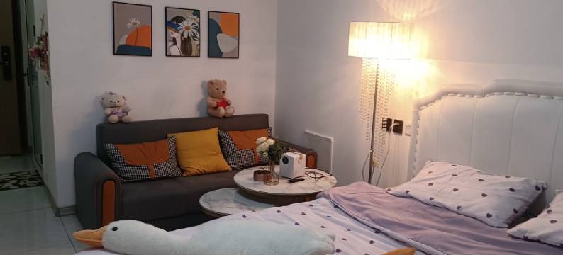 静静小窝新城明昱锦苑民宿(卧龙西路分店)图片