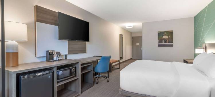 舒适酒店及套房-萨拉托加斯普林斯(Comfort Inn & Suites Saratoga Springs)图片