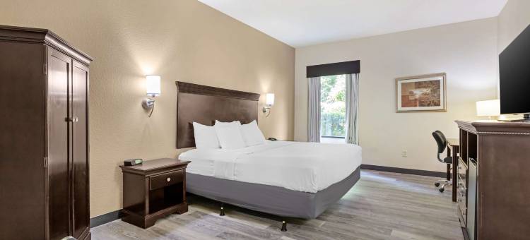 山麓贝斯特韦斯特优质套房酒店(Best Western Plus Greenville South)图片