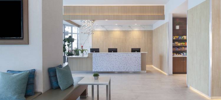 萨拉索塔希尔顿安泊酒店(Embassy Suites by Hilton Sarasota)图片