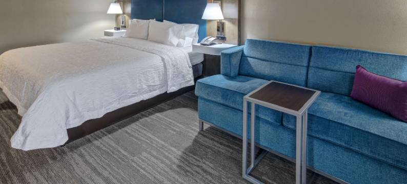 南奥兰多梅因盖特欢朋酒店(Hampton Inn Orlando-Walt Disney World Resort Maingate South)图片