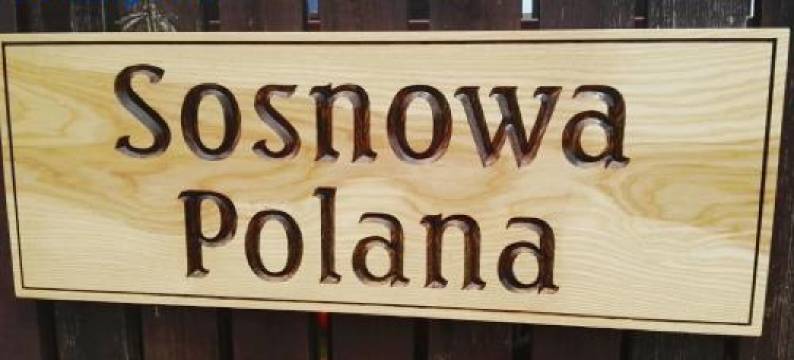 Sosnowa Polana Białowieża图片