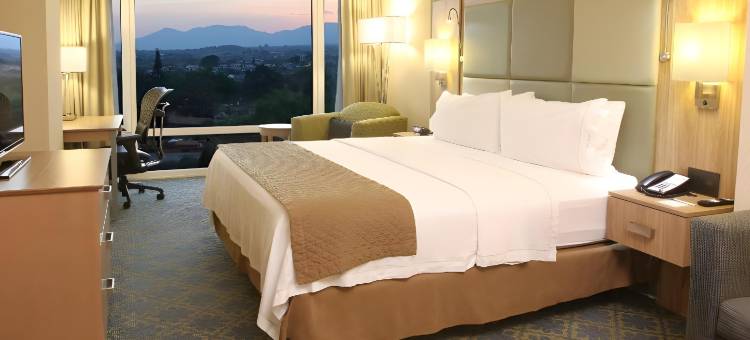 智选假日套房酒店库埃纳瓦卡(Holiday Inn Express & Suites Cuernavaca)图片
