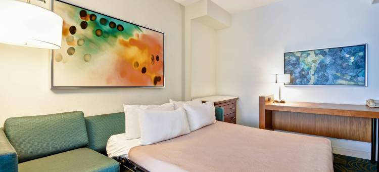 巴尔的摩华盛顿国际机场 SpringHill Suites 酒店(SpringHill Suites Baltimore BWI Airport)图片