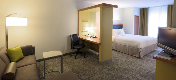 奥尔巴尼-科勒尼 SpringHill Suites 酒店(SpringHill Suites Albany-Colonie)图片