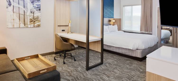 蒙哥马利普拉特维尔-米尔布鲁克万豪SpringHill Suites酒店(SpringHill Suites Montgomery Prattville/Millbrook)图片