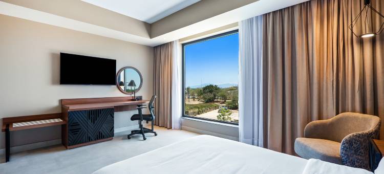 希尔顿欢朋酒店新瓦亚塔(Hampton by Hilton Nuevo Vallarta)图片