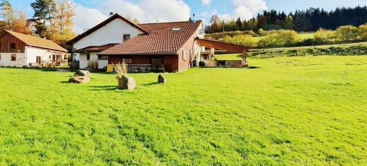 renovated farmhouse for groups and families in nature, dogs welcome, playground图片