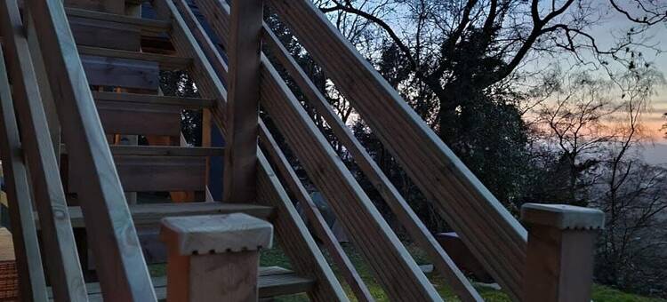 观星树屋(The Star Gazing Tree House)图片