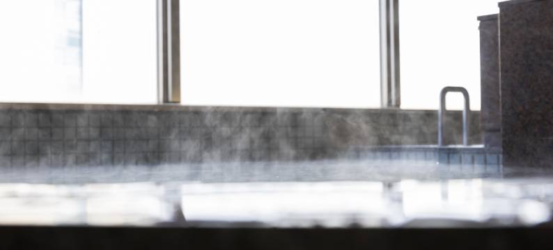 大分阿里斯顿酒店(Natural Hot Spring Ariston Hotel Oita)图片