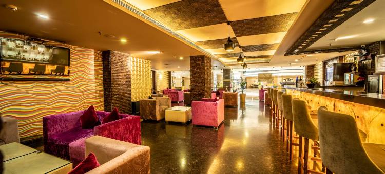 齐普尔金色郁金香酒店(Golden Tulip Jaipur)图片