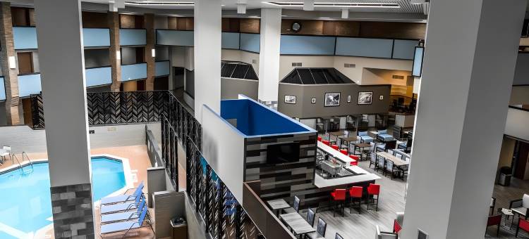 底特律诺维福朋喜来登酒店(Four Points by Sheraton Detroit Novi)图片