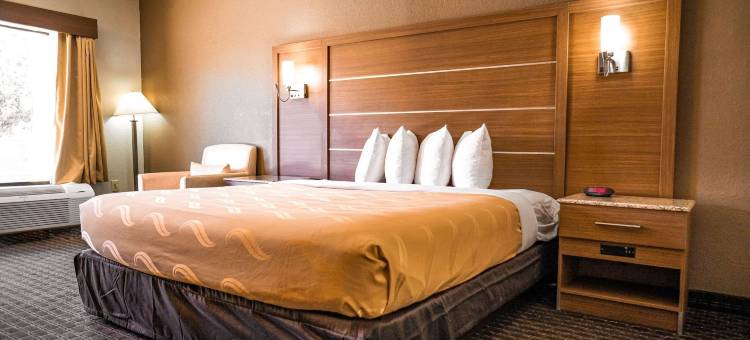 凯艺套房酒店(Quality Inn & Suites Near Six Flags - Austell)图片
