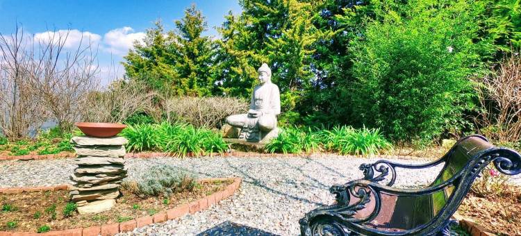 生活之树Junoon山中(Tree of Life Junoon in the Hills)图片