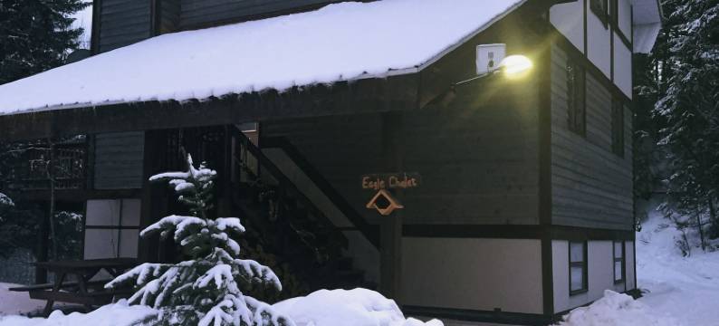 高山草甸旅舍(Alpine Meadows Lodge)图片