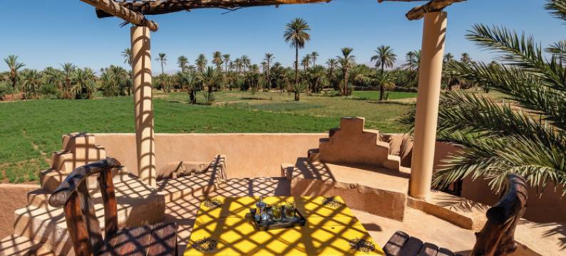 棕榈树 - 生态小屋旅馆(Ecolodge la Palmeraie)图片