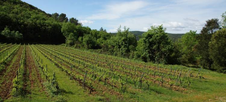 奥尼奥尔修道院(Chambres d´Hôtes Prieuré d'Orniols)图片