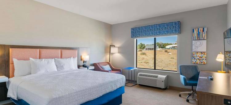 科罗拉多斯普林斯东北欢朋酒店(Hampton Inn by Hilton Colorado Springs Northeast)图片