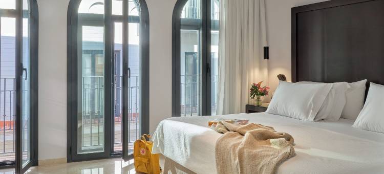 雷伊阿方索十酒店(Hotel Rey Alfonso X)图片