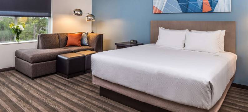 罗利/罗利-达勒姆国际机场/布赖尔溪凯悦嘉寓酒店(Hyatt House Raleigh/Rdu/Brier Creek)图片