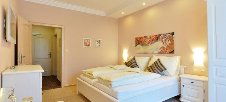 莎拉塔利帕 - 疗养酒店(Wellness Hotel Zlatá Lípa)图片