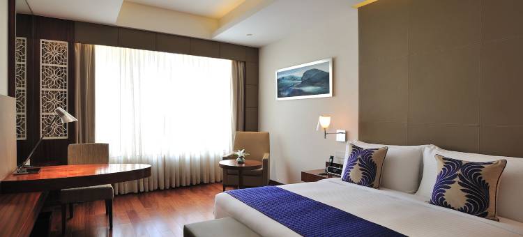 古尔冈安雅酒店(The Anya Hotel-Golf Course Road)图片