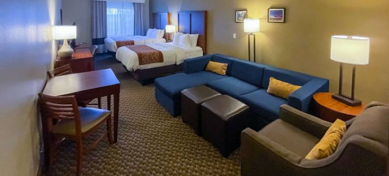 城中舒适套房酒店(Comfort Inn & Suites Midtown)图片