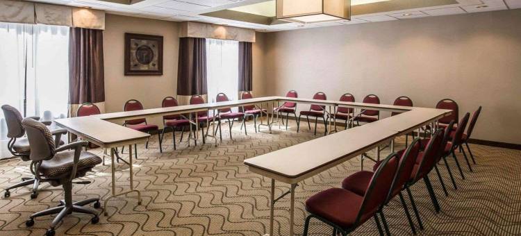 斯帕福德附近舒格兰舒适套房酒店(Comfort Suites Stafford Near Sugarland)图片