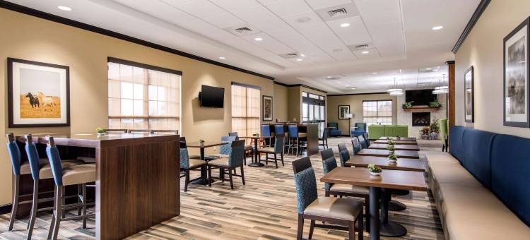 舒适套房酒店(Comfort Suites)图片