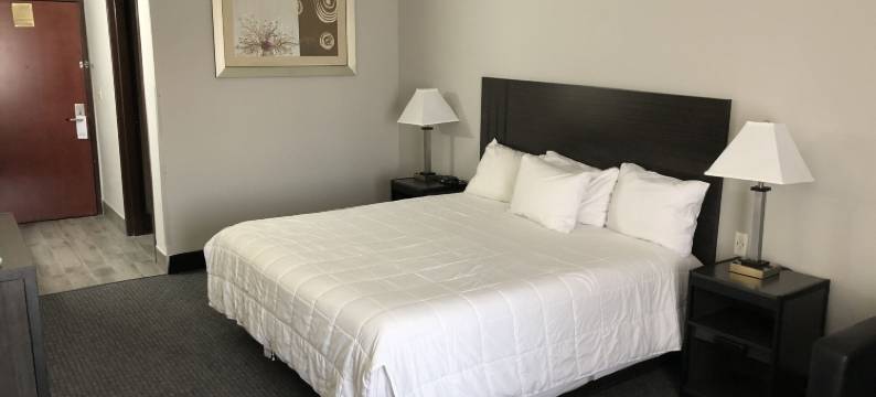 利县酒店(Lea County Inn)图片