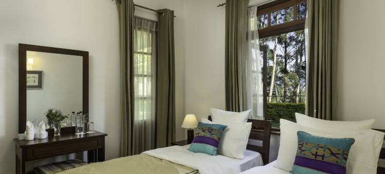 橄榄平房(Olive Bungalow)图片