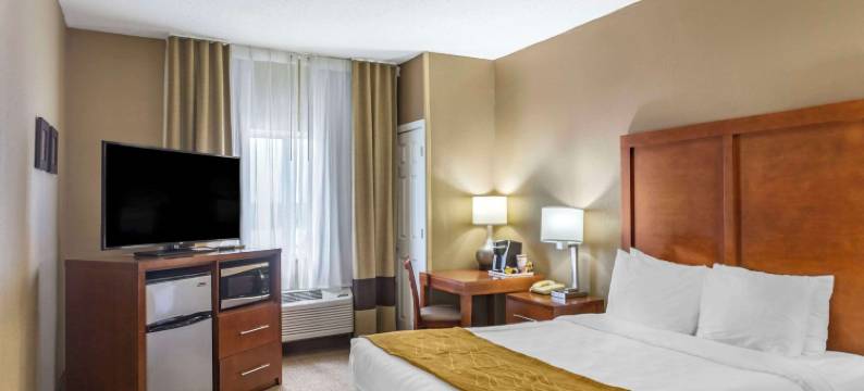 舒适酒店-近格尼六旗(Comfort Inn Gurnee Near Six Flags)图片