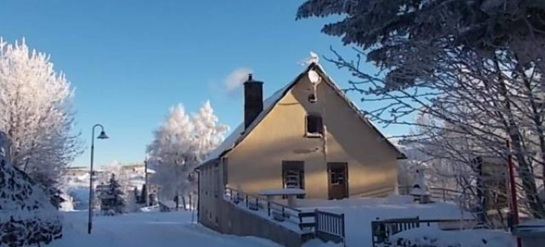 白鲸住宿加早餐旅馆(Beluga)图片