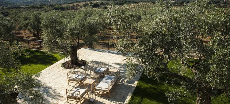 黑鹳生境(Hábitat Cigüeña Negra)图片