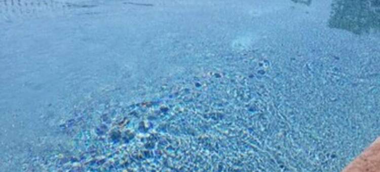 兰开斯特阿米什乡村戴斯套房酒店(Days Inn & Suites by Wyndham Lancaster Amish Country)图片