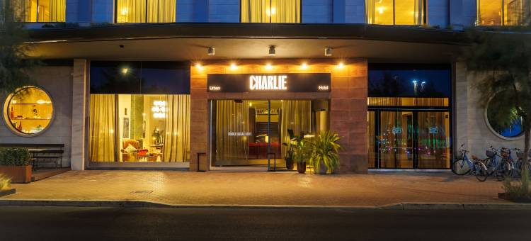 佩沙罗的查理(Charlie in Pesaro)图片