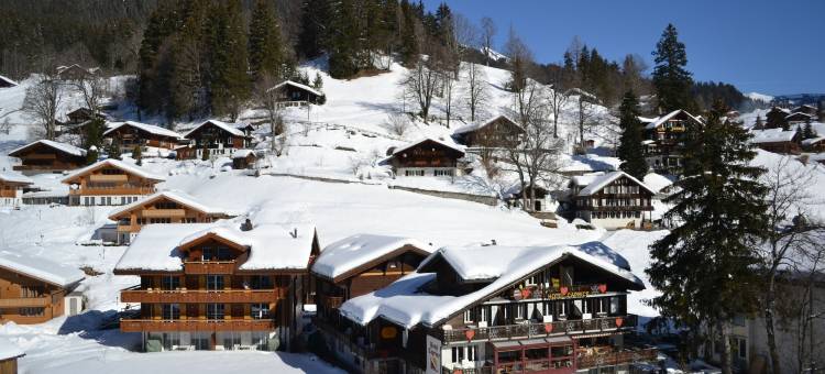 卡普里斯酒店-格林德瓦(Hotel Caprice - Grindelwald)图片