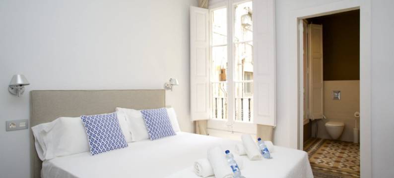 巴塞罗那佛罗特克拉丽斯套房酒店(BarcelonaForRent the Claris Suites I)图片