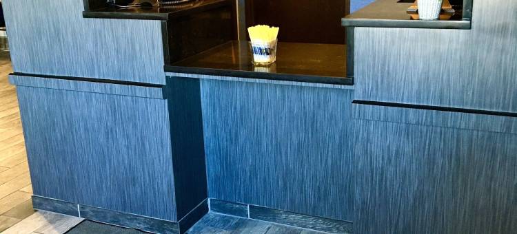 奥马哈东北戴斯套房酒店(Days Inn & Suites by Wyndham Traverse City)图片