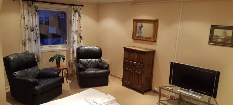 司格思帆格弗瑞酒店(Skeisvang Gjestgiveri)图片