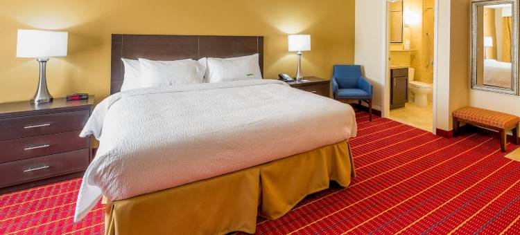 埃尔帕索机场万豪TownePlace套房酒店(TownePlace Suites El Paso Airport)图片