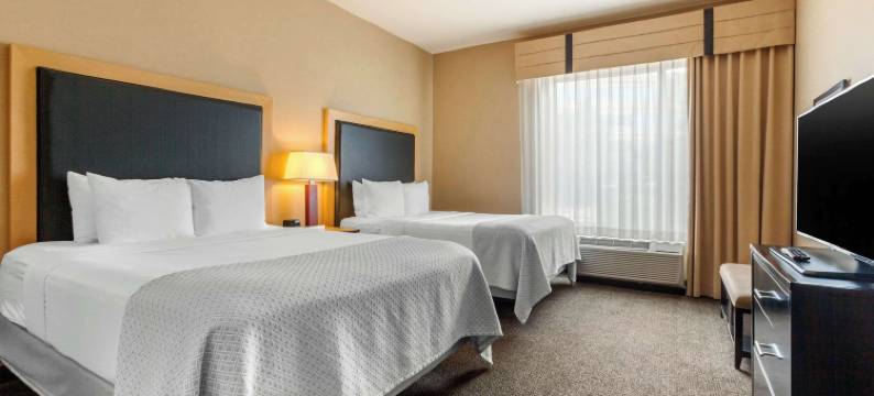 丹佛国际机场坎布里亚酒店(Cambria Hotel Denver International Airport)图片