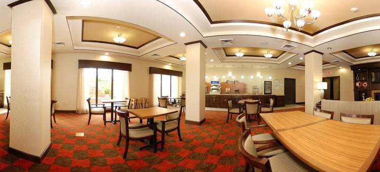 智选假日套房酒店休斯敦南 - 近皮尔兰(Holiday Inn Express & Suites Houston South - Pearland)图片