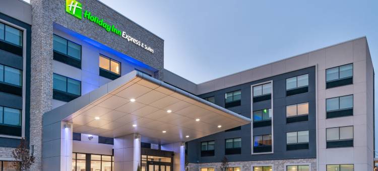 罗密欧维尔乔利埃特北智选假日套房酒店(Holiday Inn Express & Suites Romeoville - Joliet North)图片