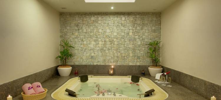 慕苏里皇家兰花堡度假村(Royal Orchid Fort Resort Mussoorie)图片