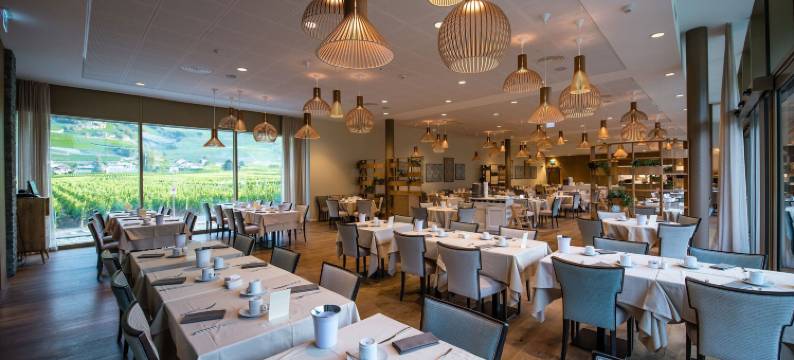 萨永贝恩斯酒店(Hotel Bains de Saillon)图片