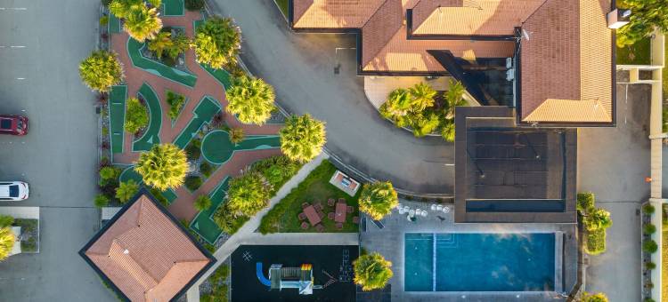 富豪棕榈星城度假村5(Regal Palms Resort)图片