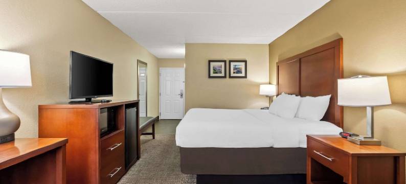 舒适套房酒店(Comfort Inn & Suites Panama City - St Andrew)图片