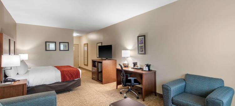 雪松山邓肯维尔舒适套房酒店(Comfort Inn & Suites Cedar Hill Duncanville)图片